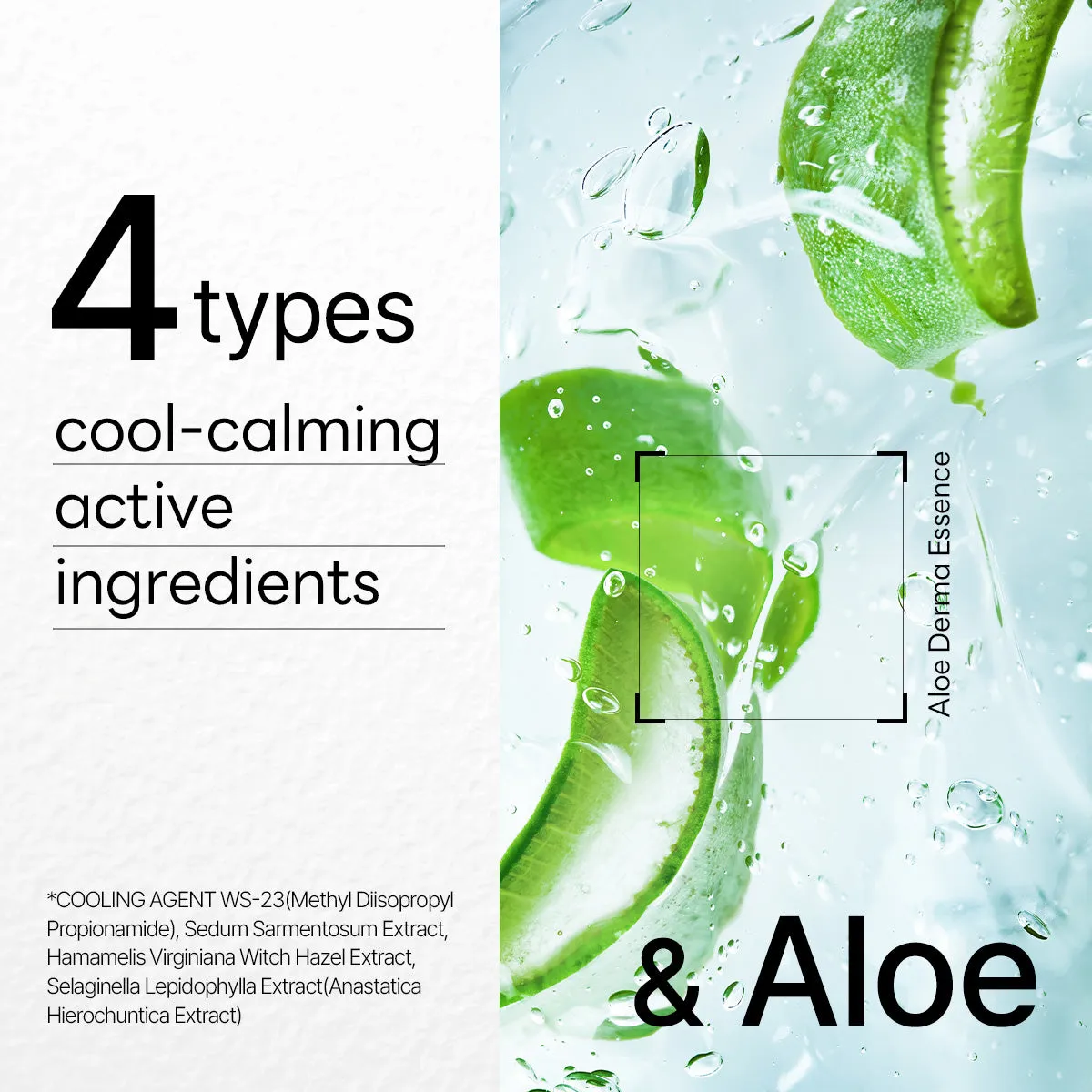 Mediheal Dermaplus Aloe Mask masque visage x10 apaisant