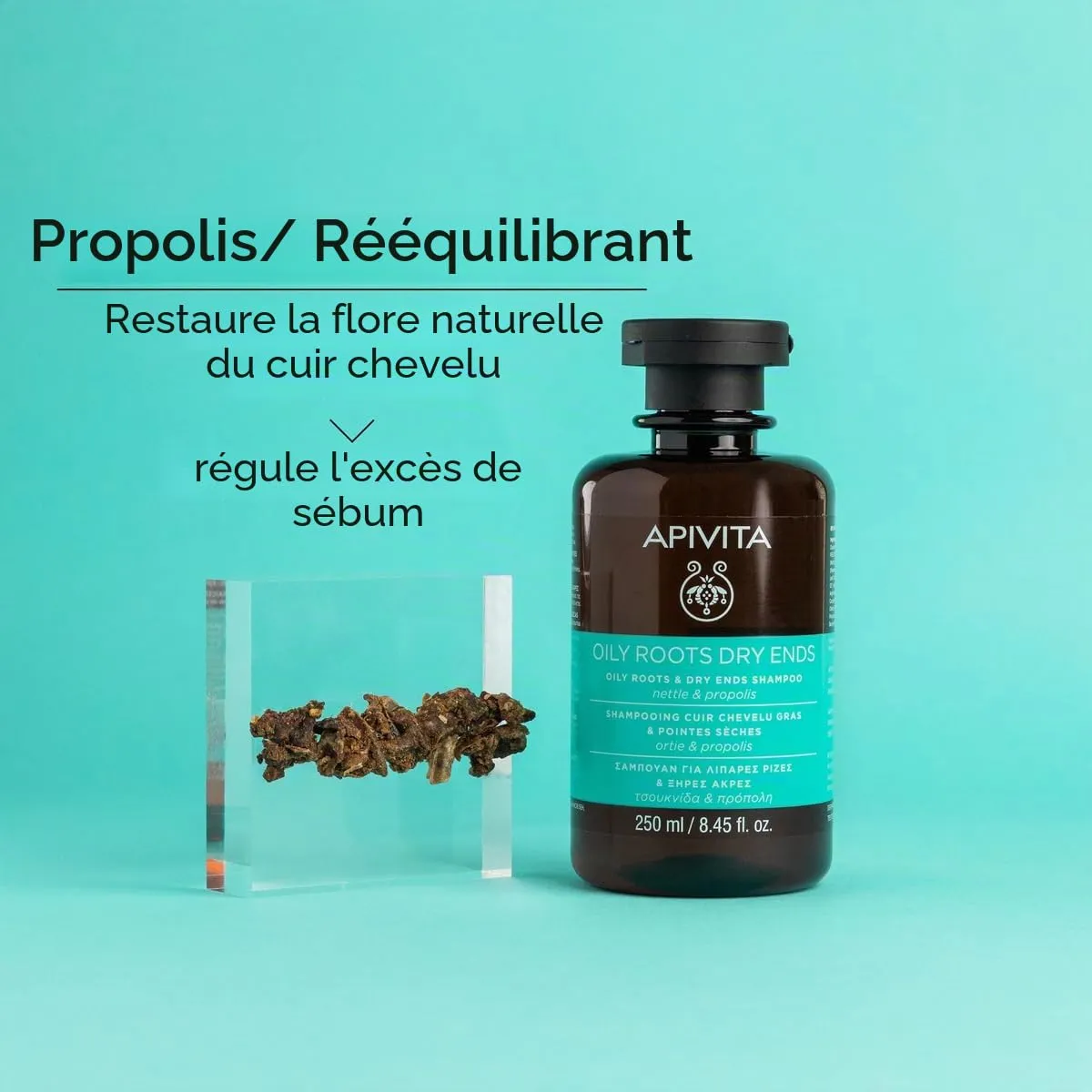 Apivita Cuir Chevelu Gras & Pointes Sèches shampoing 250 ml ortie