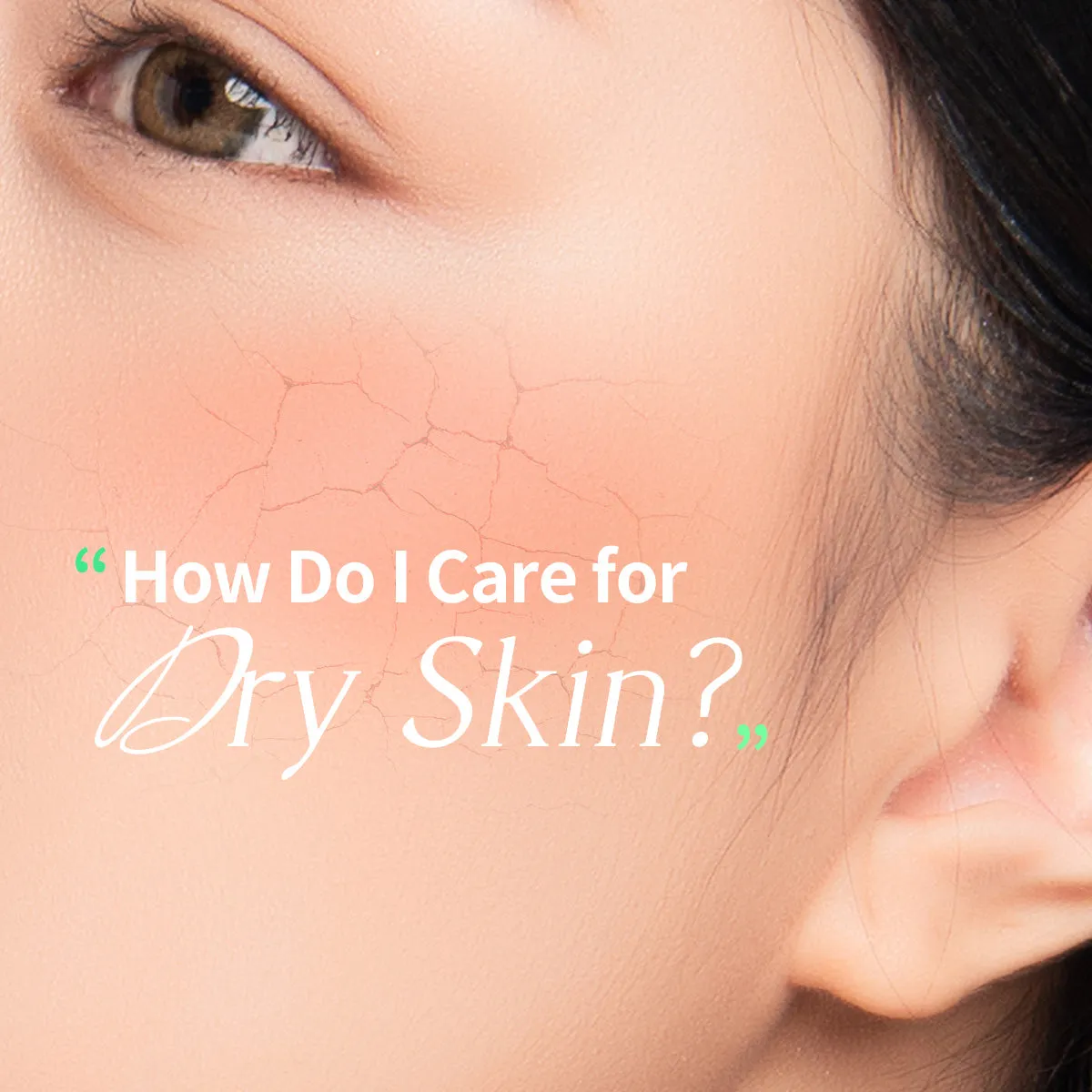 Mediheal Dermaplus Aloe Mask masque visage x10 apaisant