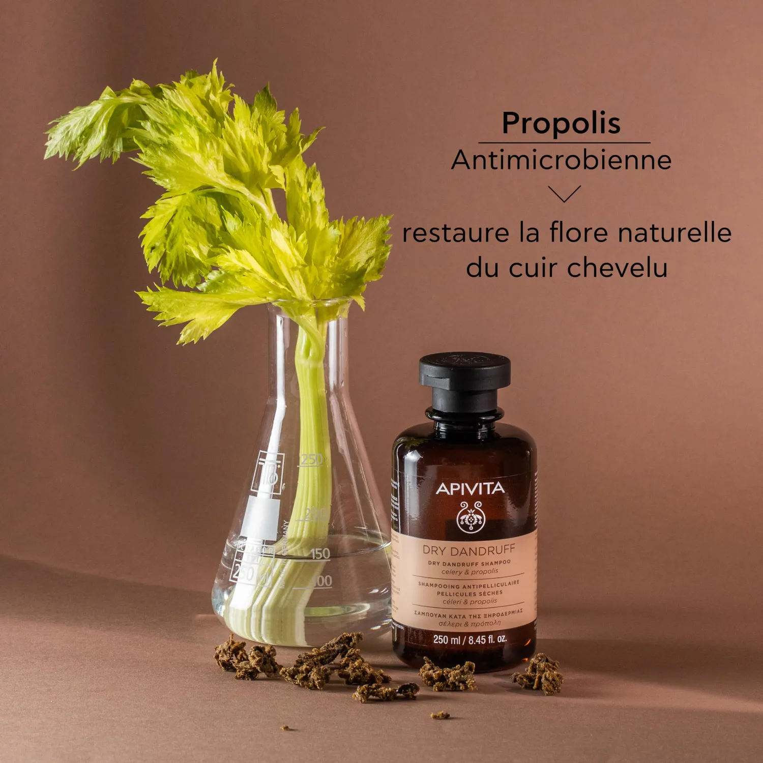 Apivita Shampooing Antipelliculaire Céleri 250ml