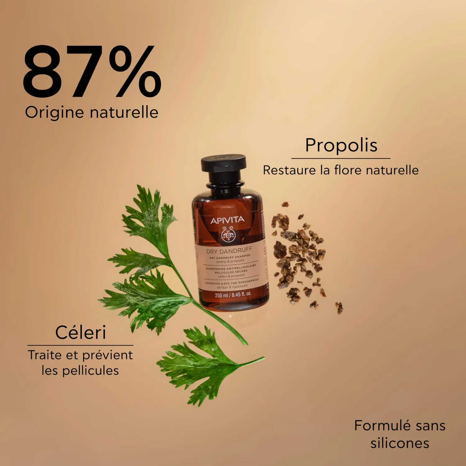 Apivita Shampooing Antipelliculaire Céleri 250ml