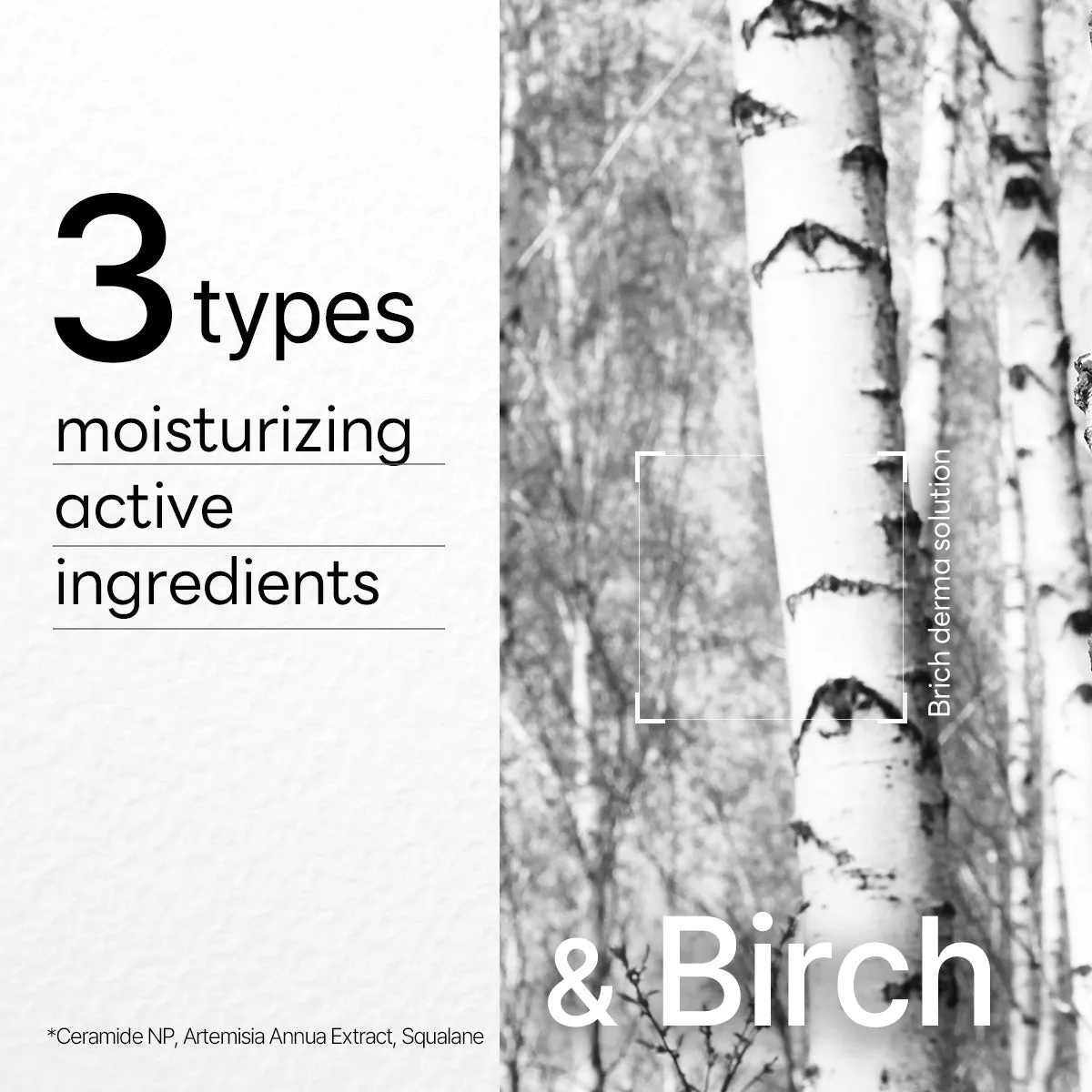 Mediheal Dermaplus Birch masque tissu x10 hydratant