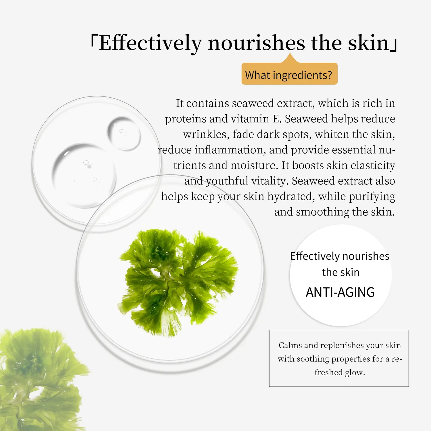 Mitomo Natural 512 Seaweed masque visage 10 pièces